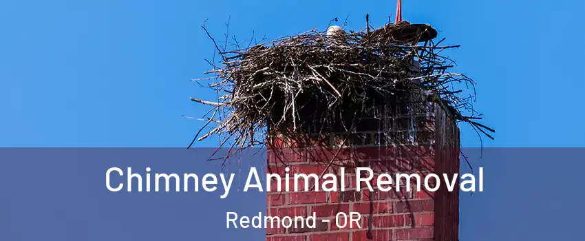 Chimney Animal Removal Redmond - OR