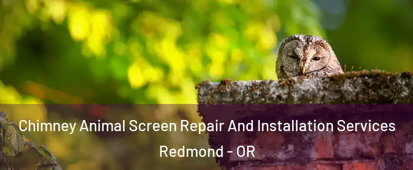  Chimney Animal Screen Repair And Installation Services Redmond - OR