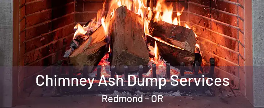 Chimney Ash Dump Services Redmond - OR