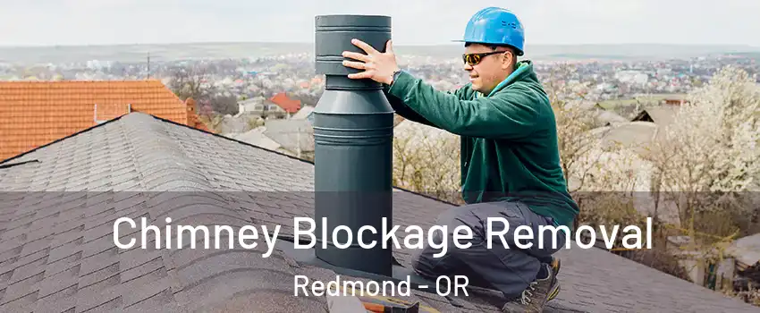  Chimney Blockage Removal Redmond - OR