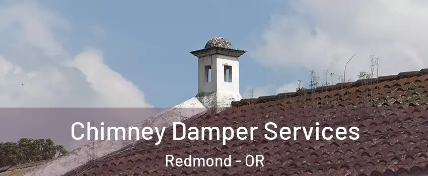  Chimney Damper Services Redmond - OR