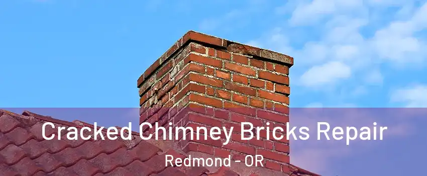  Cracked Chimney Bricks Repair Redmond - OR