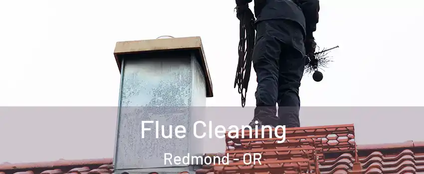  Flue Cleaning Redmond - OR