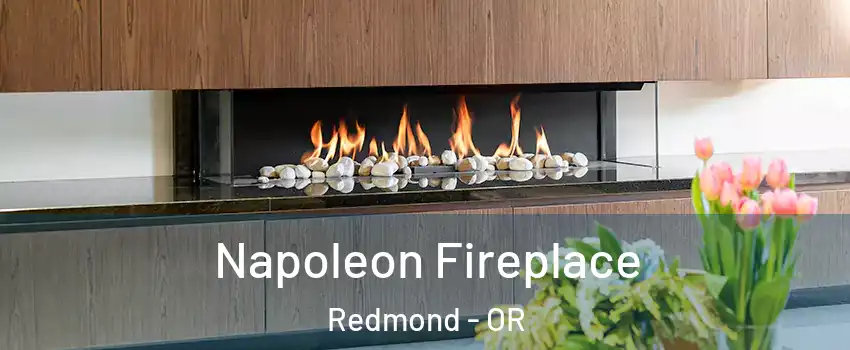  Napoleon Fireplace Redmond - OR