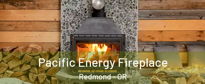  Pacific Energy Fireplace Redmond - OR